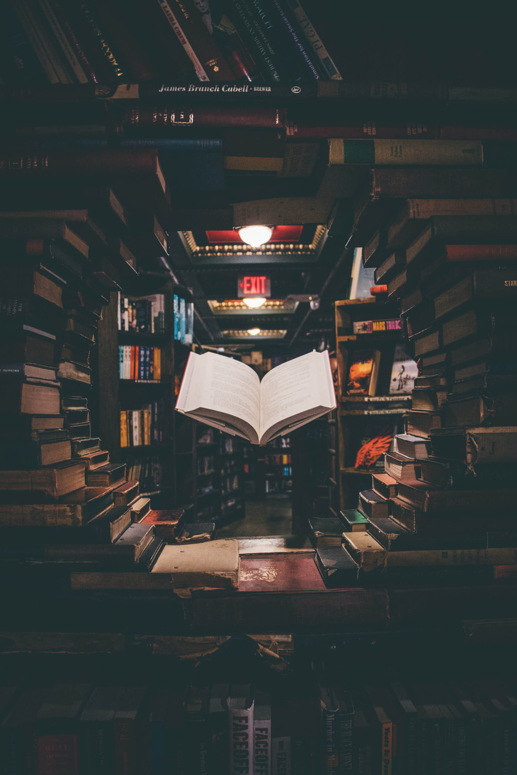 zenith literacy dyslexia tutoring Duluth MN